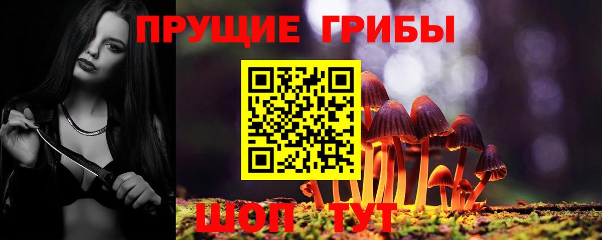 Калуга  Псилоцибиновые грибы прущие грибы  закладка  Галлюциногенные грибы мицелий  Вход с VPN 